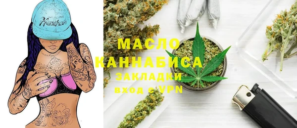 мдпв Пестово